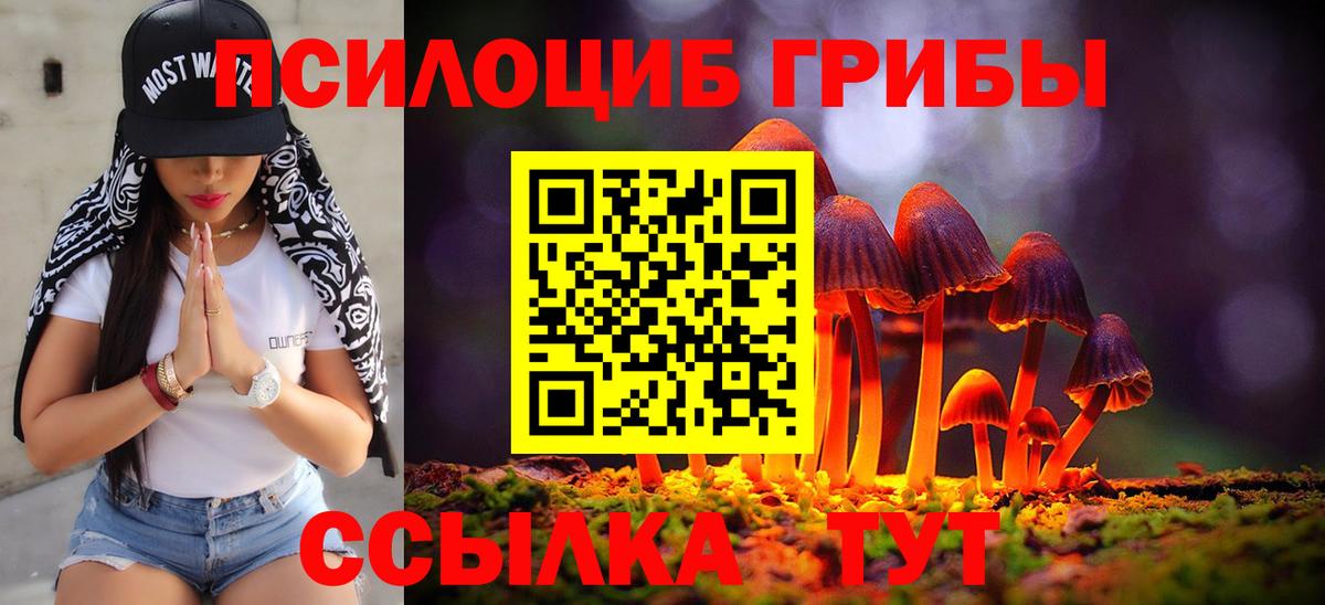 Ялта  Псилоцибиновые грибы Cubensis  Вход с VPN 